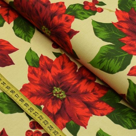 049932_000000_1 049932_000000_1