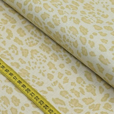 050256_000000_1 050256_000000_1