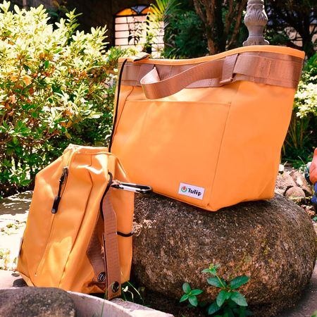 050174_000000_6 050174_000000_6