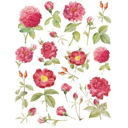 050788_000000_1 050788_000000_1