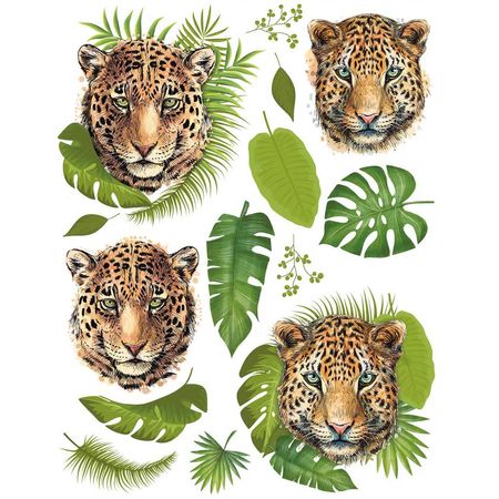 050786_000000_1 050786_000000_1