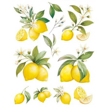 050787_000000_1 050787_000000_1