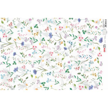 051420_000000_1 051420_000000_1