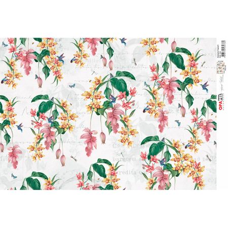 051423_000000_1 051423_000000_1