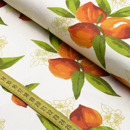 054018_000000_1 054018_000000_1