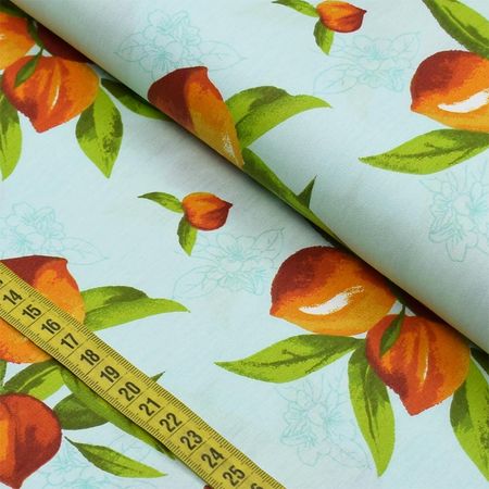 054017_000000_1 054017_000000_1