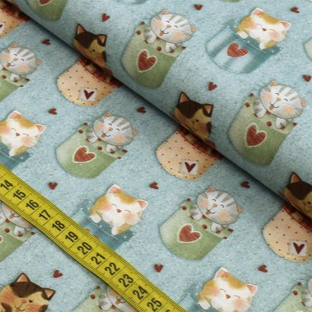 054086_000000_1 054086_000000_1