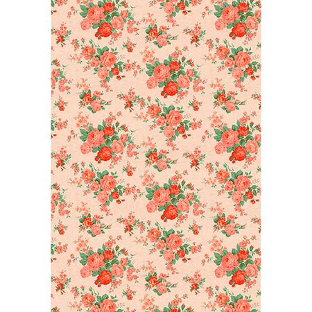 054434_000000_1 054434_000000_1