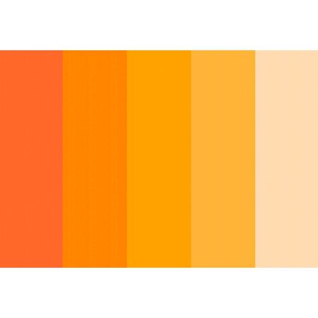 054482_000000_1 054482_000000_1