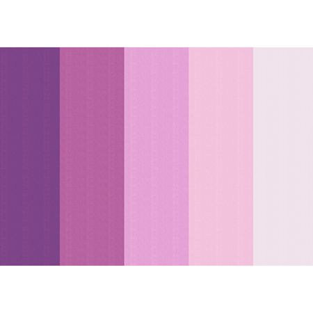 054486_000000_1 054486_000000_1