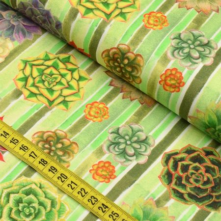 055201_000000_2 055201_000000_2