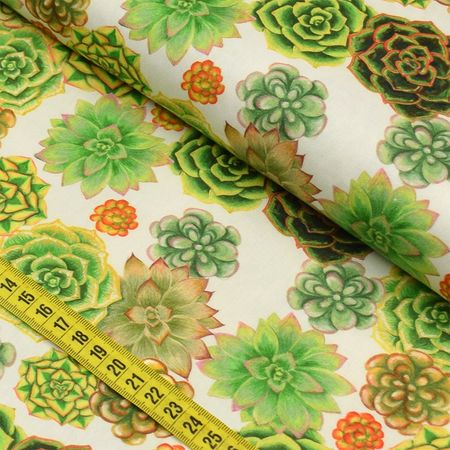 055206_000000_2 055206_000000_2