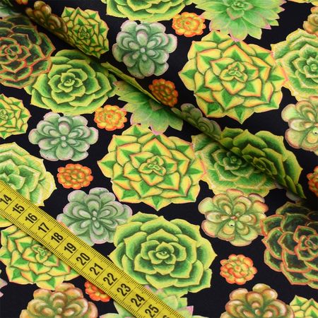 055207_000000_2 055207_000000_2