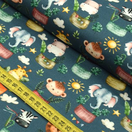 055227_000000_1 055227_000000_1