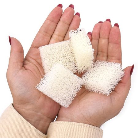 055913_000000_1 055913_000000_1