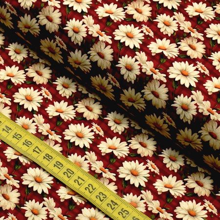 055874_000000_1.jpg 055874_000000_1.jpg