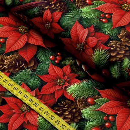 056455_000000_1.jpg 056455_000000_1.jpg