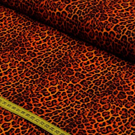 056682_000000_1.jpg 056682_000000_1.jpg