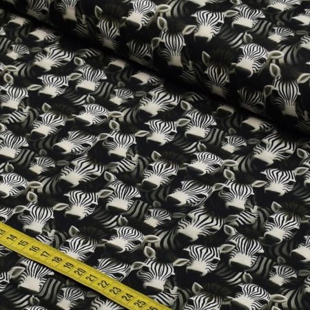 056663_000000_1 056663_000000_1