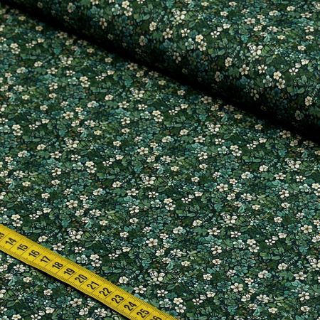 056675_000000_1.jpg 056675_000000_1.jpg