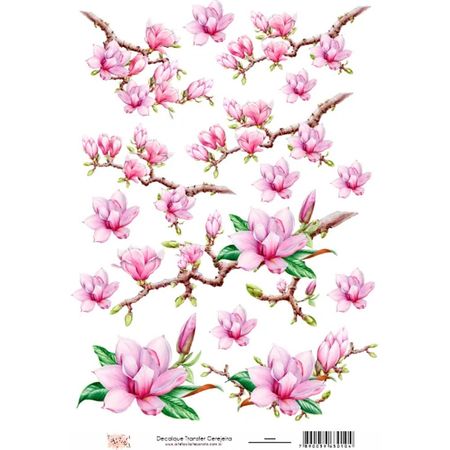 057203_000000_1 057203_000000_1