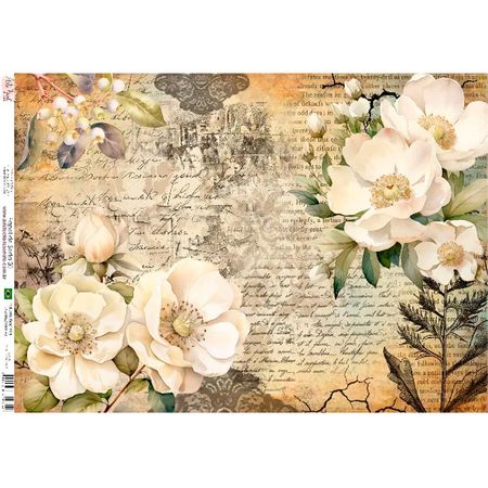 057694_000000_1 057694_000000_1