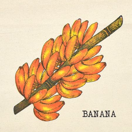 057827_008322_1 057827_008322_1