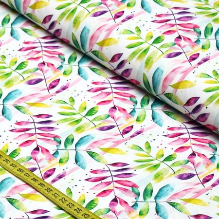 057900_000000_1 057900_000000_1