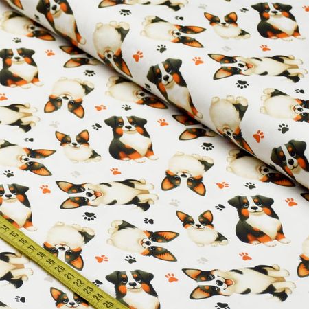 058216_000000_1 058216_000000_1