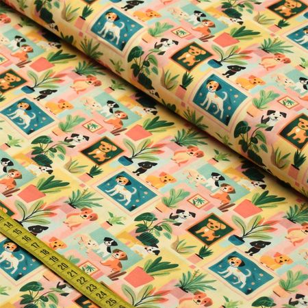 058247_000000_1 058247_000000_1