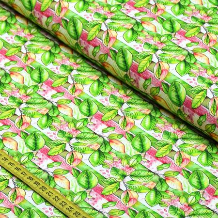 058256_000000_1 058256_000000_1