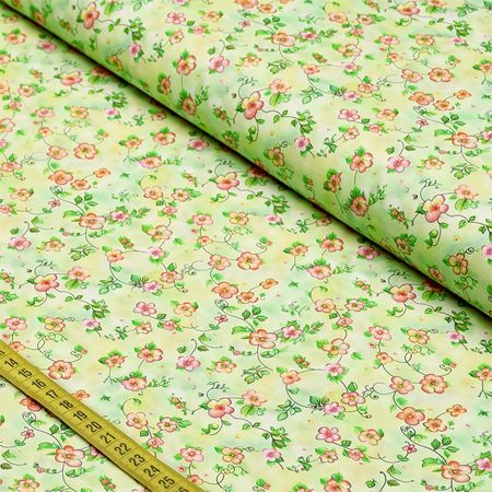 058257_000000_1 058257_000000_1