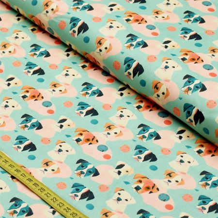 058249_000000_1 058249_000000_1