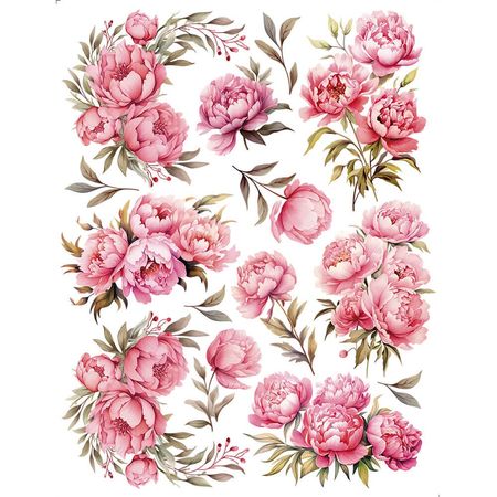 058478_000000_1 058478_000000_1