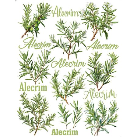 058481_000000_1 058481_000000_1