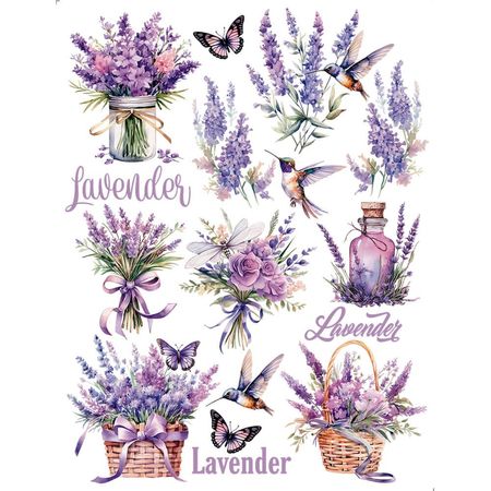 058482_000000_1 058482_000000_1