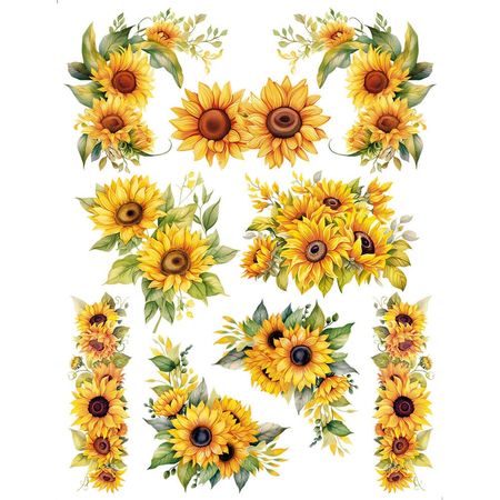 058479_000000_1 058479_000000_1