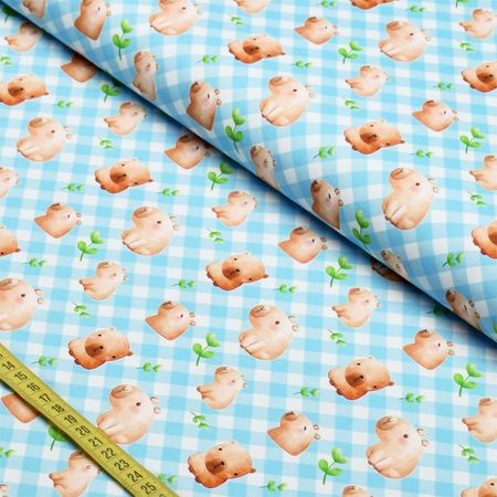 058613_000000_1 058613_000000_1