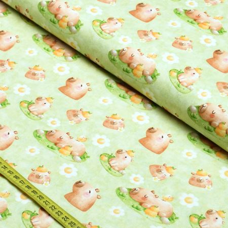 058617_000000_1 058617_000000_1