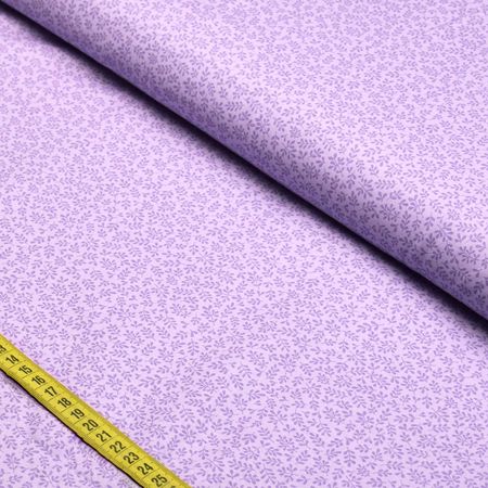 058667_000000_1 058667_000000_1