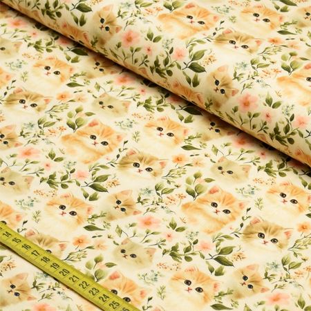 060177_000000_1.jpg 060177_000000_1.jpg