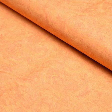 060343_000000_1.jpg 060343_000000_1.jpg